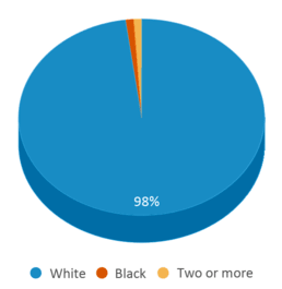 This chart displays the percentage breakdown of students of all ethnic groups in Melcher-dallas Elementary School. This chart displays the percentage breakdown of students of all ethnic groups in Melcher-dallas Elementary School.