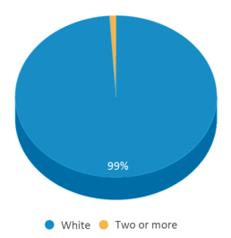 This chart displays the percentage breakdown of students of all ethnic groups in St. Benedict Elementary School. This chart displays the percentage breakdown of students of all ethnic groups in St. Benedict Elementary School.