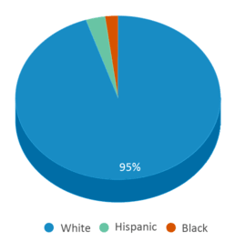 This chart displays the percentage breakdown of students of all ethnic groups in South Barber Elementary School. This chart displays the percentage breakdown of students of all ethnic groups in South Barber Elementary School.
