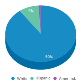 This chart displays the percentage breakdown of students of all ethnic groups in South Barber High School. This chart displays the percentage breakdown of students of all ethnic groups in South Barber High School.