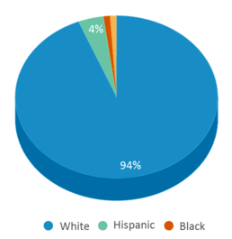 This chart displays the percentage breakdown of students of all ethnic groups in Silver Lake Elementary School. This chart displays the percentage breakdown of students of all ethnic groups in Silver Lake Elementary School.