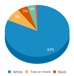 This chart displays the percentage breakdown of students of all ethnic groups in Ashland Middle School. This chart displays the percentage breakdown of students of all ethnic groups in Ashland Middle School.