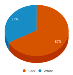 This chart displays the percentage breakdown of students of all ethnic groups in Louisville Day. This chart displays the percentage breakdown of students of all ethnic groups in Louisville Day.