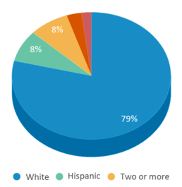 This chart displays the percentage breakdown of students of all ethnic groups in Camden Station Elementary School. This chart displays the percentage breakdown of students of all ethnic groups in Camden Station Elementary School.