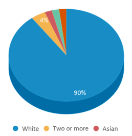 This chart displays the percentage breakdown of students of all ethnic groups in Russell-mcdowell Intermediate School. This chart displays the percentage breakdown of students of all ethnic groups in Russell-mcdowell Intermediate School.