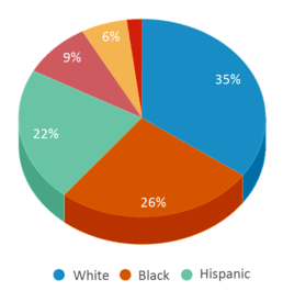 This chart displays the percentage breakdown of students of all ethnic groups in Warren Central High School. This chart displays the percentage breakdown of students of all ethnic groups in Warren Central High School.
