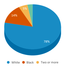 This chart displays the percentage breakdown of students of all ethnic groups in Kiroli Elementary School. This chart displays the percentage breakdown of students of all ethnic groups in Kiroli Elementary School.
