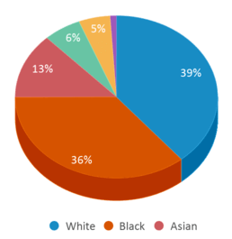 This chart displays the percentage breakdown of students of all ethnic groups in Perry Hall High School. This chart displays the percentage breakdown of students of all ethnic groups in Perry Hall High School.