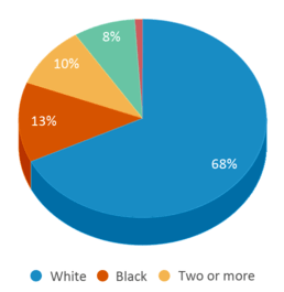 This chart displays the percentage breakdown of students of all ethnic groups in Plum Point Elementary School. This chart displays the percentage breakdown of students of all ethnic groups in Plum Point Elementary School.