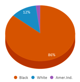 This chart displays the percentage breakdown of students of all ethnic groups in Rica-southern Md. This chart displays the percentage breakdown of students of all ethnic groups in Rica-southern Md.
