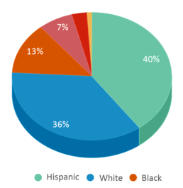 This chart displays the percentage breakdown of students of all ethnic groups in Balch. This chart displays the percentage breakdown of students of all ethnic groups in Balch.