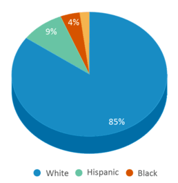 This chart displays the percentage breakdown of students of all ethnic groups in South Shore Vocational Technical High School. This chart displays the percentage breakdown of students of all ethnic groups in South Shore Vocational Technical High School.