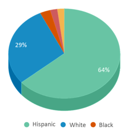 This chart displays the percentage breakdown of students of all ethnic groups in Charlton Street. This chart displays the percentage breakdown of students of all ethnic groups in Charlton Street.