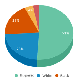 This chart displays the percentage breakdown of students of all ethnic groups in Grafton Street. This chart displays the percentage breakdown of students of all ethnic groups in Grafton Street.