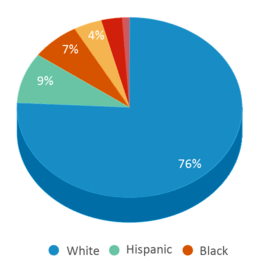 This chart displays the percentage breakdown of students of all ethnic groups in Paragould High School. This chart displays the percentage breakdown of students of all ethnic groups in Paragould High School.