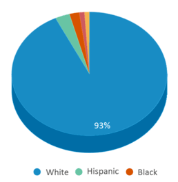 This chart displays the percentage breakdown of students of all ethnic groups in Ausable Primary School. This chart displays the percentage breakdown of students of all ethnic groups in Ausable Primary School.