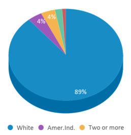This chart displays the percentage breakdown of students of all ethnic groups in Harbor Springs High School. This chart displays the percentage breakdown of students of all ethnic groups in Harbor Springs High School.