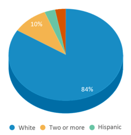This chart displays the percentage breakdown of students of all ethnic groups in Badger Elementary School. This chart displays the percentage breakdown of students of all ethnic groups in Badger Elementary School.