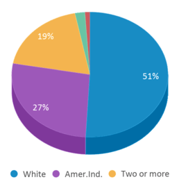 This chart displays the percentage breakdown of students of all ethnic groups in King Elementary School. This chart displays the percentage breakdown of students of all ethnic groups in King Elementary School.
