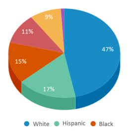 This chart displays the percentage breakdown of students of all ethnic groups in Edgewood Middle School. This chart displays the percentage breakdown of students of all ethnic groups in Edgewood Middle School.
