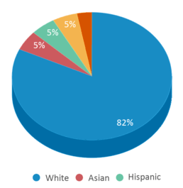 This chart displays the percentage breakdown of students of all ethnic groups in Lincoln Elementary School. This chart displays the percentage breakdown of students of all ethnic groups in Lincoln Elementary School.