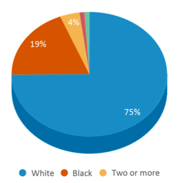 This chart displays the percentage breakdown of students of all ethnic groups in Lafayette Middle School. This chart displays the percentage breakdown of students of all ethnic groups in Lafayette Middle School.