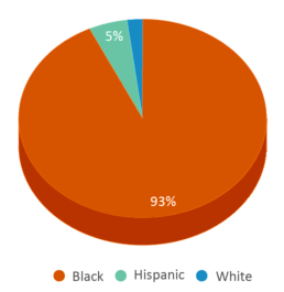 This chart displays the percentage breakdown of students of all ethnic groups in Pershing Early Childhood Elementary School. This chart displays the percentage breakdown of students of all ethnic groups in Pershing Early Childhood Elementary School.