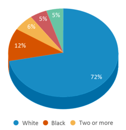 This chart displays the percentage breakdown of students of all ethnic groups in Mehlville High School. This chart displays the percentage breakdown of students of all ethnic groups in Mehlville High School.