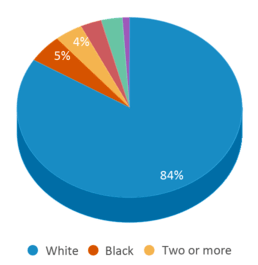 This chart displays the percentage breakdown of students of all ethnic groups in Oakville Sr. High School. This chart displays the percentage breakdown of students of all ethnic groups in Oakville Sr. High School.