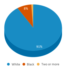 This chart displays the percentage breakdown of students of all ethnic groups in Ross Elementary School. This chart displays the percentage breakdown of students of all ethnic groups in Ross Elementary School.