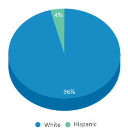 This chart displays the percentage breakdown of students of all ethnic groups in Putnam Co. Middle School. This chart displays the percentage breakdown of students of all ethnic groups in Putnam Co. Middle School.