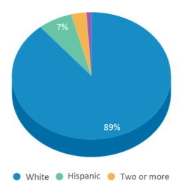 This chart displays the percentage breakdown of students of all ethnic groups in Palmer Elementary School. This chart displays the percentage breakdown of students of all ethnic groups in Palmer Elementary School.