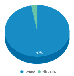 This chart displays the percentage breakdown of students of all ethnic groups in Culbertson High School. This chart displays the percentage breakdown of students of all ethnic groups in Culbertson High School.
