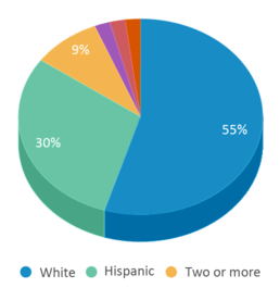 This chart displays the percentage breakdown of students of all ethnic groups in Jefferson Elementary School. This chart displays the percentage breakdown of students of all ethnic groups in Jefferson Elementary School.