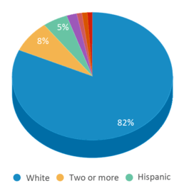 This chart displays the percentage breakdown of students of all ethnic groups in Osceola Elementary School. This chart displays the percentage breakdown of students of all ethnic groups in Osceola Elementary School.