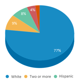 This chart displays the percentage breakdown of students of all ethnic groups in Hills Garrison Elementary School. This chart displays the percentage breakdown of students of all ethnic groups in Hills Garrison Elementary School.