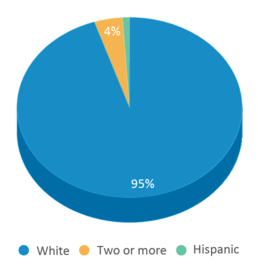 This chart displays the percentage breakdown of students of all ethnic groups in Rye Elementary School. This chart displays the percentage breakdown of students of all ethnic groups in Rye Elementary School.
