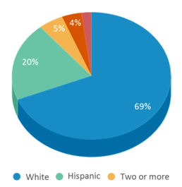 This chart displays the percentage breakdown of students of all ethnic groups in H & M Potter School. This chart displays the percentage breakdown of students of all ethnic groups in H & M Potter School.