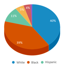 This chart displays the percentage breakdown of students of all ethnic groups in Timber Creek Regional High School. This chart displays the percentage breakdown of students of all ethnic groups in Timber Creek Regional High School.