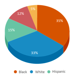 This chart displays the percentage breakdown of students of all ethnic groups in Burlington Township High School. This chart displays the percentage breakdown of students of all ethnic groups in Burlington Township High School.