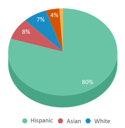 This chart displays the percentage breakdown of students of all ethnic groups in Lincoln Elementary School. This chart displays the percentage breakdown of students of all ethnic groups in Lincoln Elementary School.