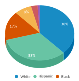 This chart displays the percentage breakdown of students of all ethnic groups in Ralph J. Steinhauer Elementary School. This chart displays the percentage breakdown of students of all ethnic groups in Ralph J. Steinhauer Elementary School.