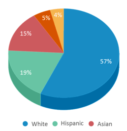 This chart displays the percentage breakdown of students of all ethnic groups in Sandshore Rd. Elementary School. This chart displays the percentage breakdown of students of all ethnic groups in Sandshore Rd. Elementary School.