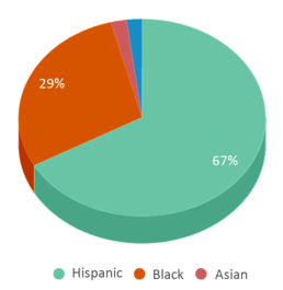 This chart displays the percentage breakdown of students of all ethnic groups in Mckinley Community Elementary School. This chart displays the percentage breakdown of students of all ethnic groups in Mckinley Community Elementary School.