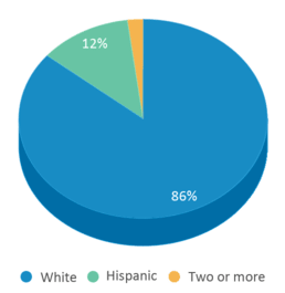This chart displays the percentage breakdown of students of all ethnic groups in Walnut Ridge School. This chart displays the percentage breakdown of students of all ethnic groups in Walnut Ridge School.