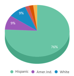 This chart displays the percentage breakdown of students of all ethnic groups in Susie Rayos Marmon Elementary School. This chart displays the percentage breakdown of students of all ethnic groups in Susie Rayos Marmon Elementary School.