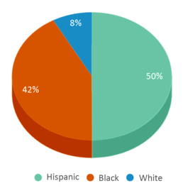 This chart displays the percentage breakdown of students of all ethnic groups in Greenburgh Eleven Middle School. This chart displays the percentage breakdown of students of all ethnic groups in Greenburgh Eleven Middle School.