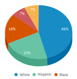 This chart displays the percentage breakdown of students of all ethnic groups in Olympia High School. This chart displays the percentage breakdown of students of all ethnic groups in Olympia High School.