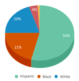 This chart displays the percentage breakdown of students of all ethnic groups in New Rochelle High School. This chart displays the percentage breakdown of students of all ethnic groups in New Rochelle High School.