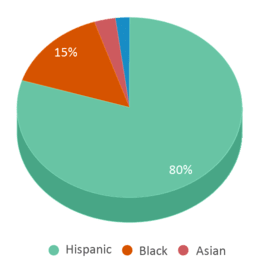 This chart displays the percentage breakdown of students of all ethnic groups in J.H.S. 143-john Peter Tetard School. This chart displays the percentage breakdown of students of all ethnic groups in J.H.S. 143-john Peter Tetard School.
